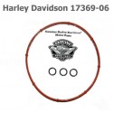 Sada těsnění na Harley Davidson